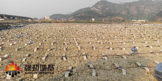塑料排水板的優(yōu)點及適用范圍