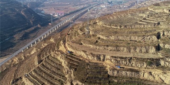 坡面防護(hù)設(shè)計(jì)-植樹防護(hù)