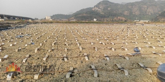 真空預(yù)壓法施工要點