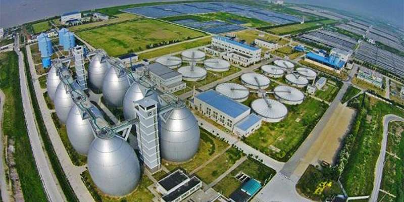 樁基工程：白龍港污水處理廠提標(biāo)改造工程BLG-C2標(biāo)