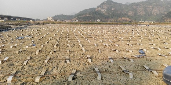 強勁地基解說FDP快速軟地基處理技術(shù)的優(yōu)點